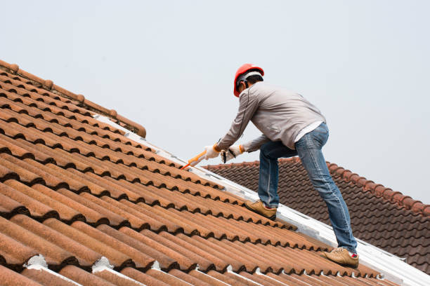 4 Ply Roofing in Leadville North, CO