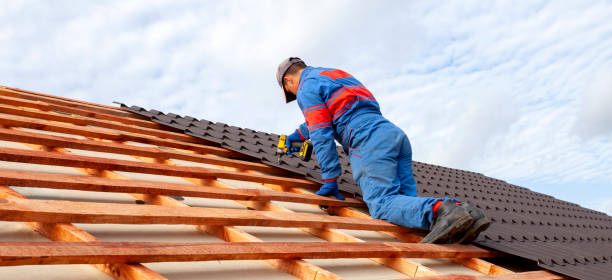 Best Gutter Installation and Repair  in Leadville North, CO