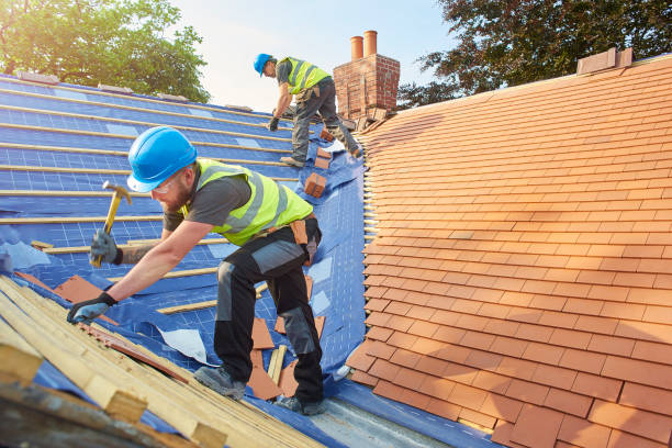  Leadville North, CO Roofing repair and installation Pros